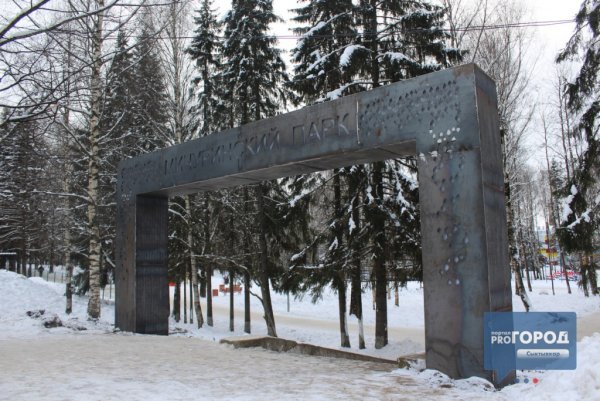 Мичуринский парк Сыктывкар зимой