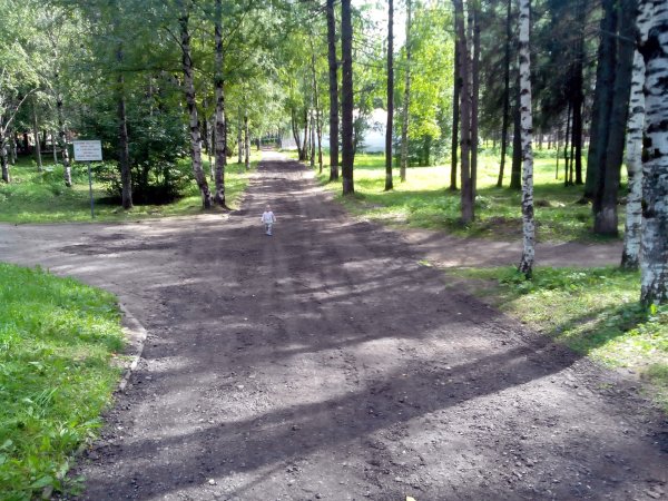 Лавочки в Мичуринском парке Сыктывкар