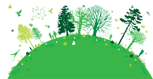 Лес рисунок