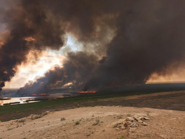 Озеро Судочье Каракалпакия
