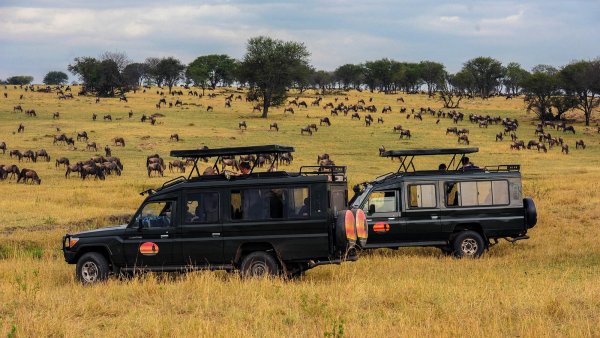 Серенгети сафари парк