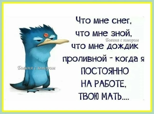 Смешные цитаты про погоду