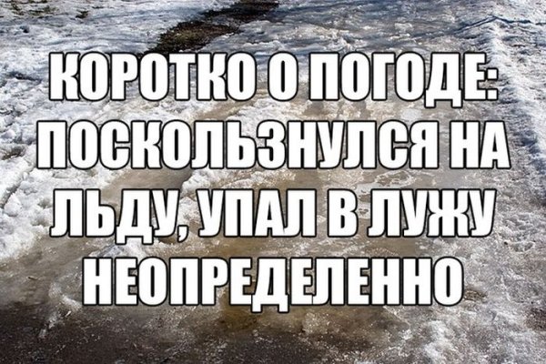 Шутки про погоду в картинках прикольные