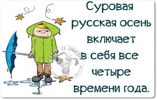 Приколы про холодную осень