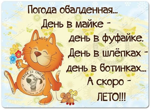 Анекдоты про погоду