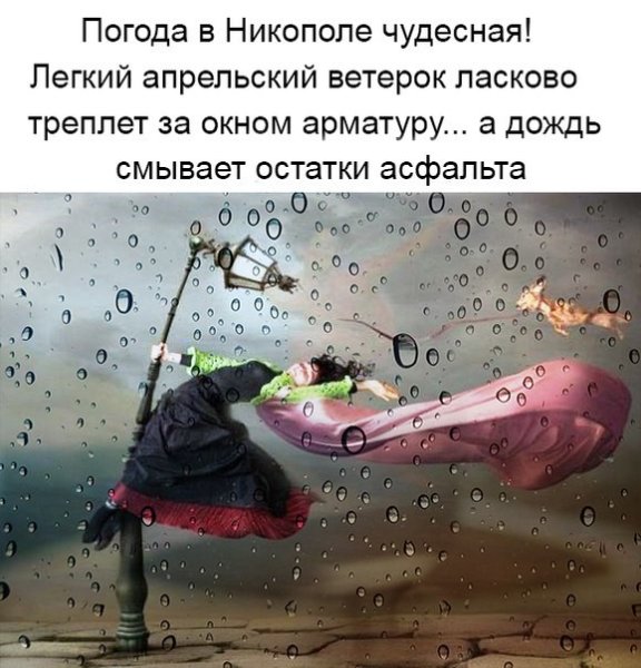 Смешные цитаты про дождь