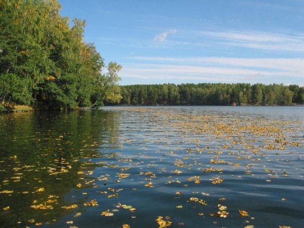 Озеро Еловое Чебаркуль