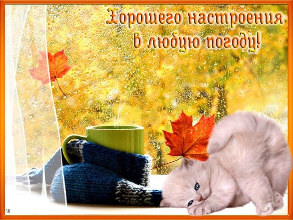 Доброго осеннего утра и хорошего настроения