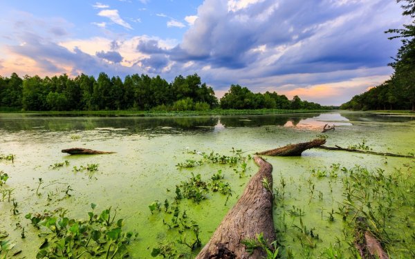 Озеро круглое Нижегородская область Борский район