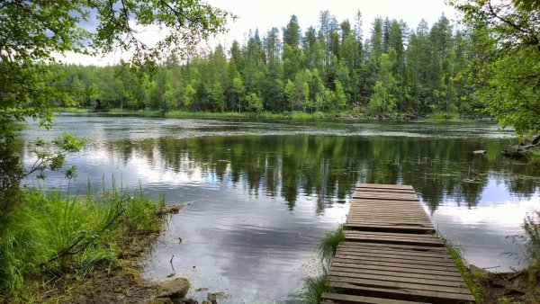 Карелия мостки