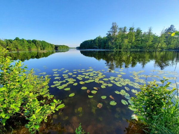 Озеро Инерка Саранск