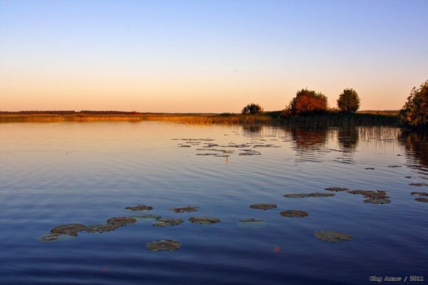 Озеро бальзинское Мордовия
