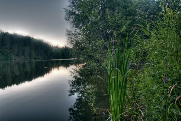 Оз Инерка Мордовия
