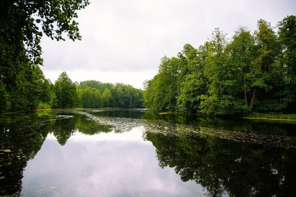 Мордовский заповедник река Мокша