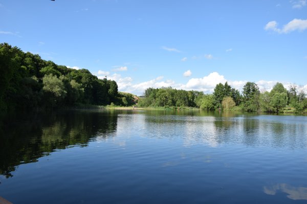 Село Макаровка Мордовия пруд