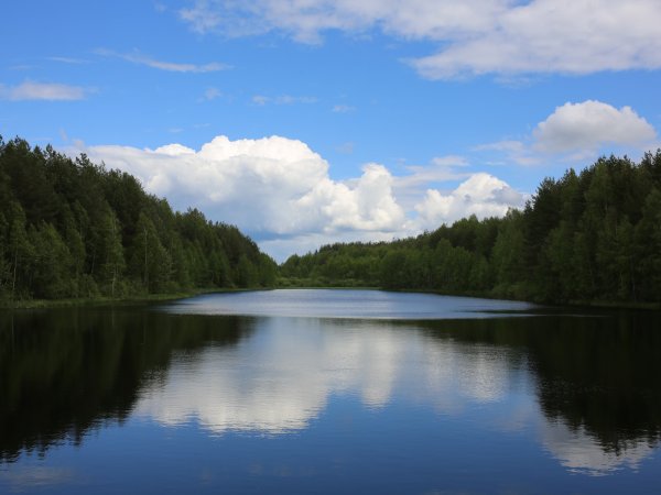 Темниковский заповедник