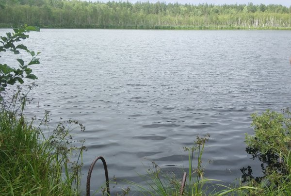 Пиявское озеро Мордовия