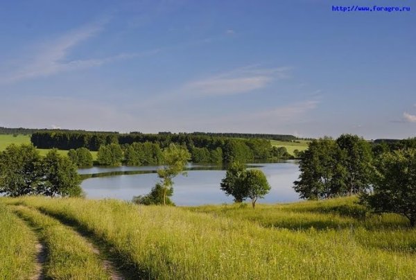 Пиявское озеро Мордовия