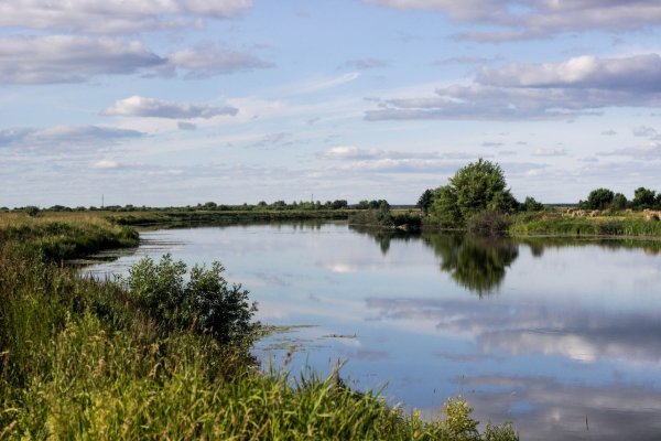 Река Мокша Краснослободск