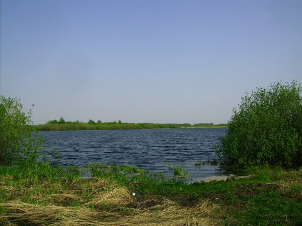 Озеро Шелубей Теньгушевский район
