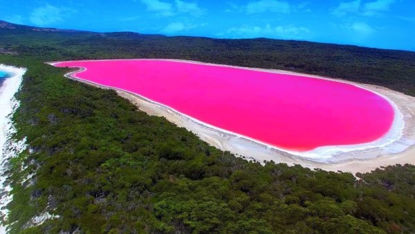 Озеро Хиллиер (Lake hillier), Австралия