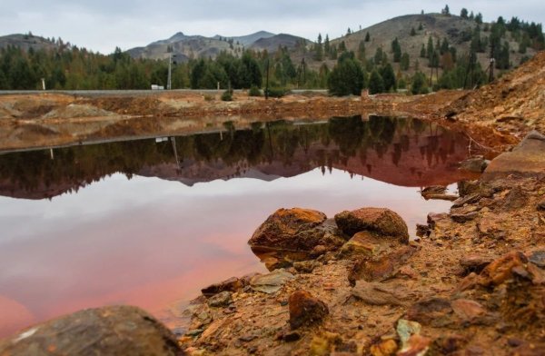 Озеро Карачай в Челябинской