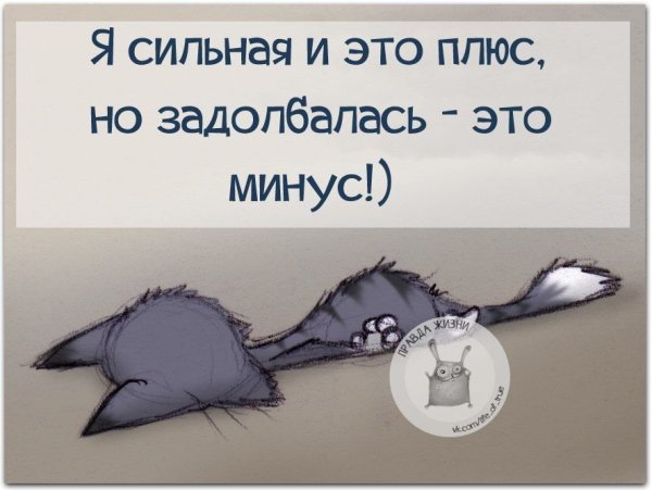 Прикольные фразы про сон