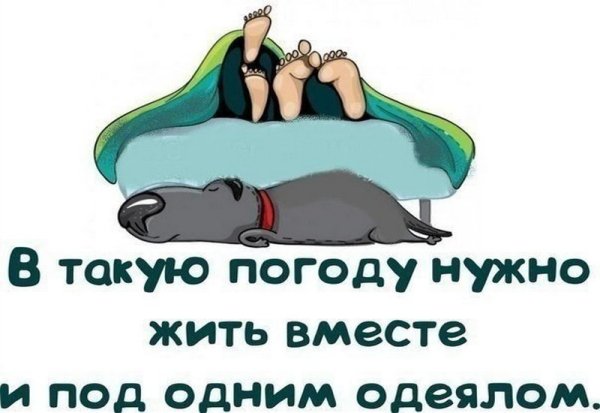 В такую погоду