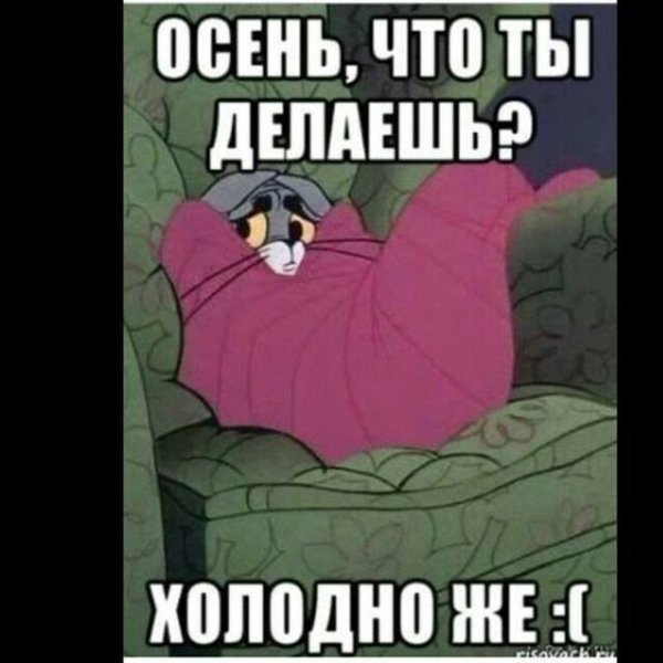 Холодно прикол