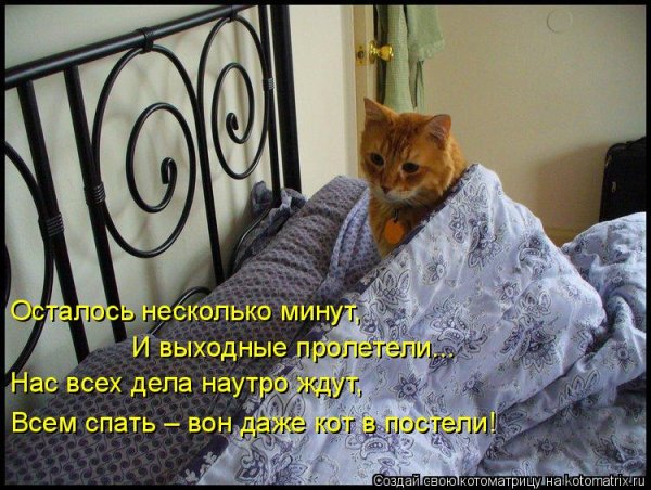 Доброе утро я еще сплю
