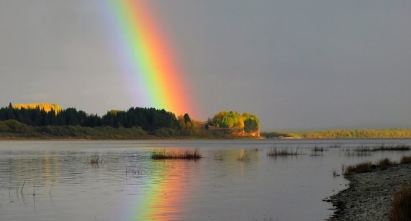 Волхов река Радуга