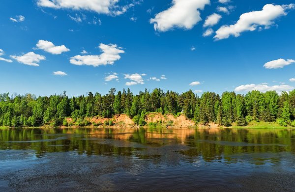 Можжевеловый берег озеро Волго
