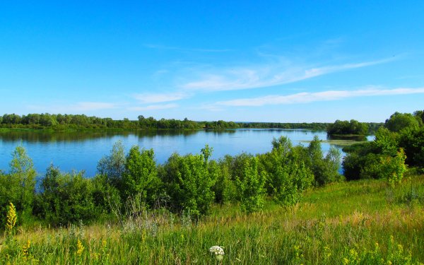 Реки озёра Чувашии Сура