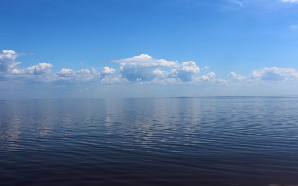 Кострома Чухломское озеро