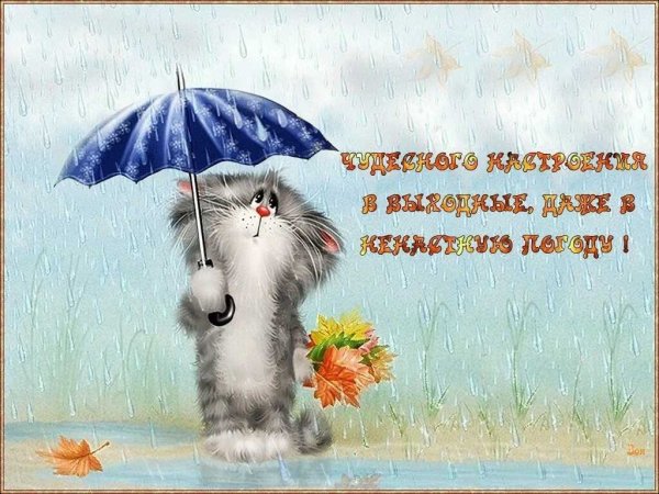 Хорошего настроения в дождь