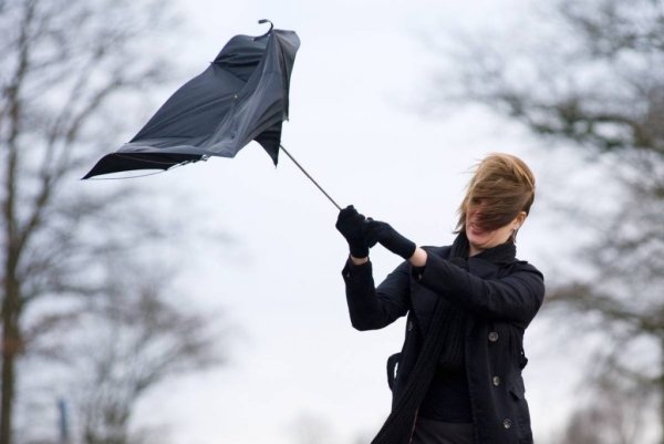 Порывистый ветер