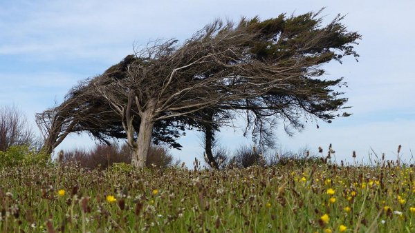 Сильный ветер