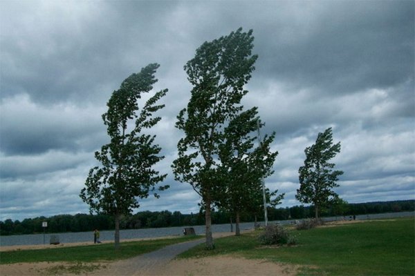 Порывы ветра летом