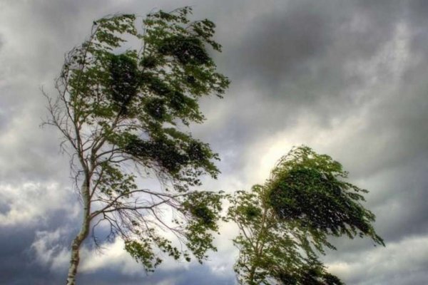 Сильный ветер