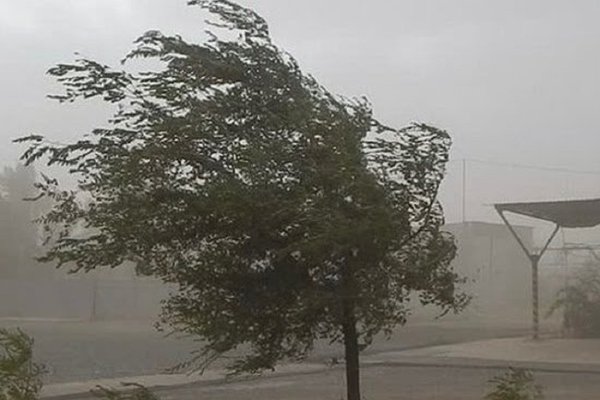 Сильный ветер в Костромской области