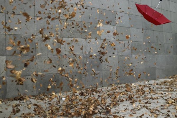 Шалый дождик налетел с ветром пыль