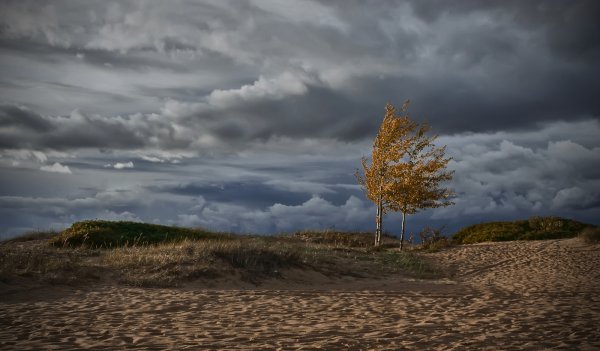 Осенний ветер фото