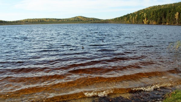 Озеро Песчаное Северка