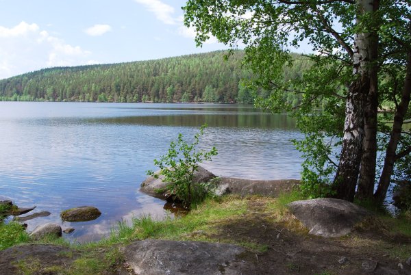 Озеро Песчаное Северка