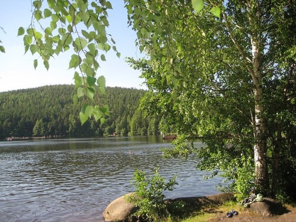 Озеро Песчаное Алтайский край