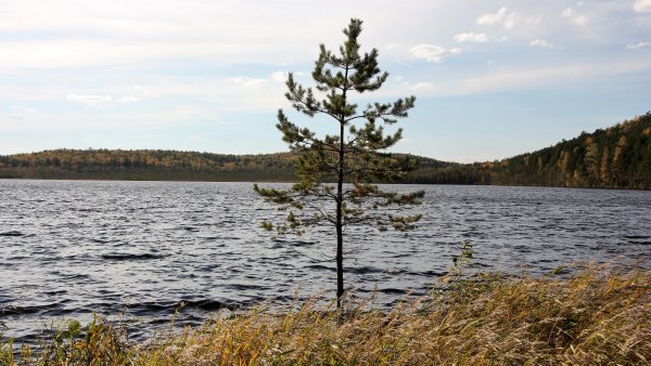 ОЗЕРОПЕСЧАННОЕ Ульяновская область