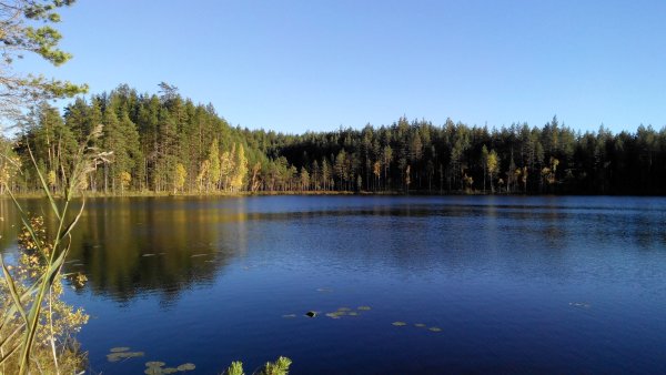 Озеро Песчаное Струги красные