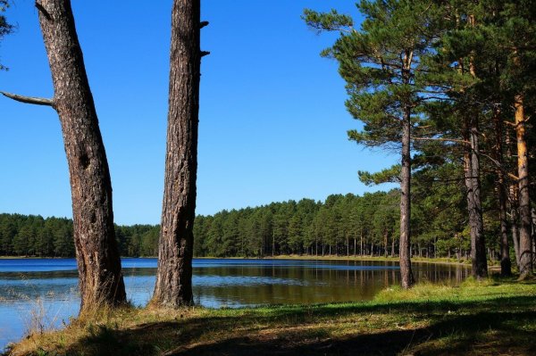 Круглое озеро поселок Самусь