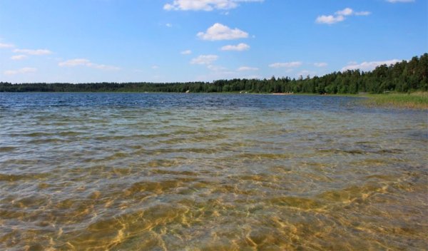 Белое озеро Ульяновск