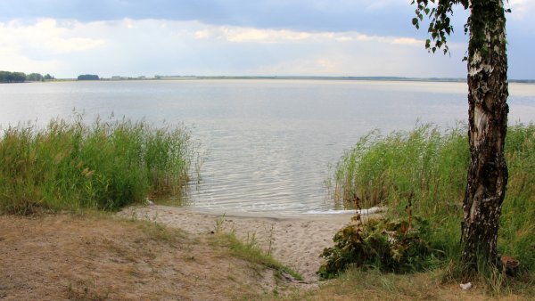 Озеро Песчаное Курганская область